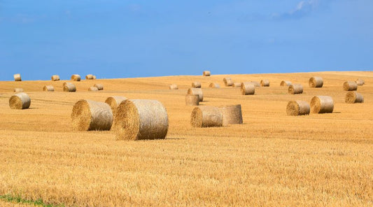 Net Wrap vs Twine: Which Is Better for Round Bales?